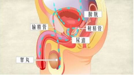 男性尿道炎会传染给女伴么